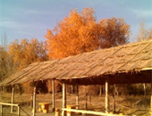 YG Pc(din)Ї{·