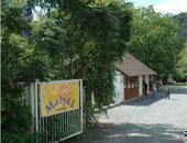 ݿвϣׁǼl(xing)Camp Matyas¶I