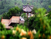2005걱¶I8ѮڑŹȿ_Ļ