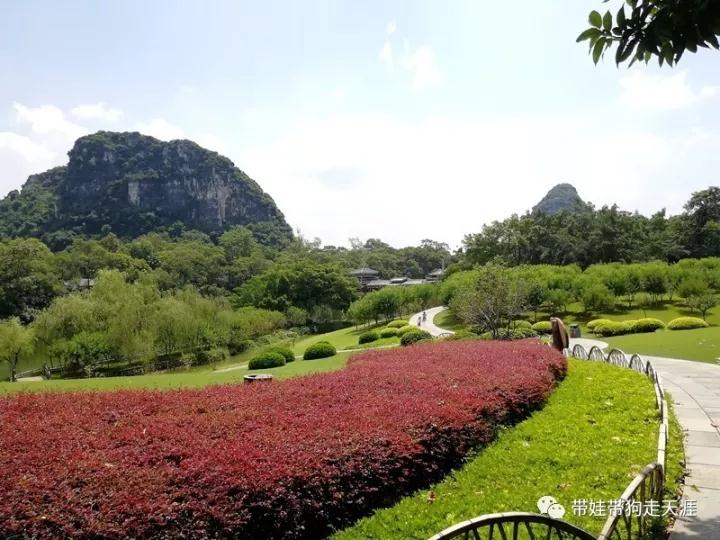 ΢ňDƬ_20180522165558.jpg