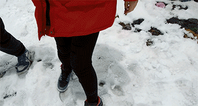 111.gif