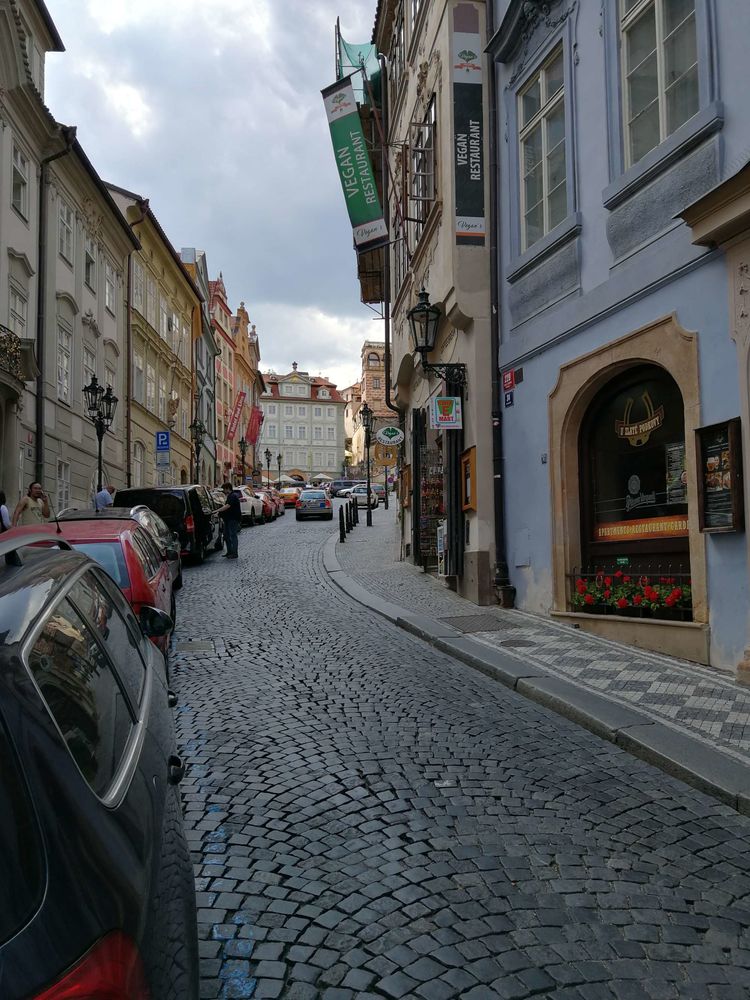 38.jpg